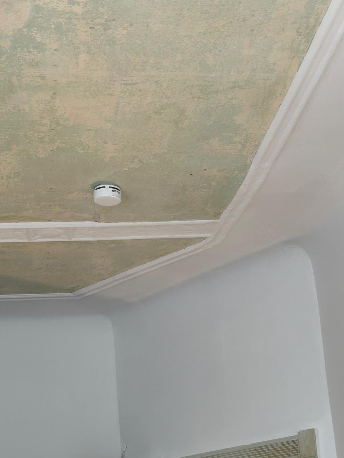 Deckendetail mit weiß gefasster Stuckleiste und Rauchmelder